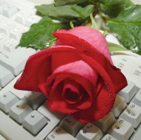 avatares de Flores para msn